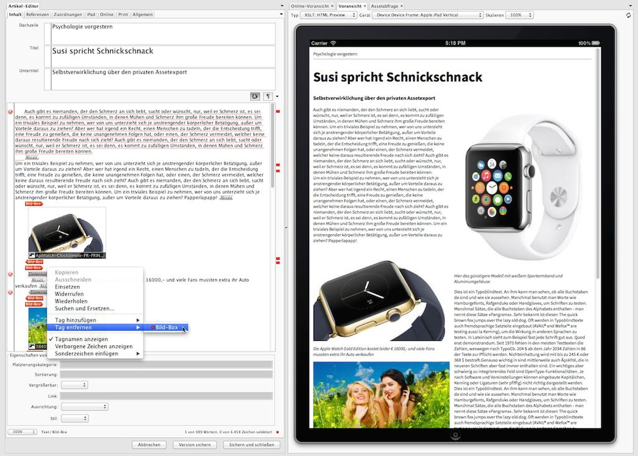 InDesign-Artikel3.jpg
