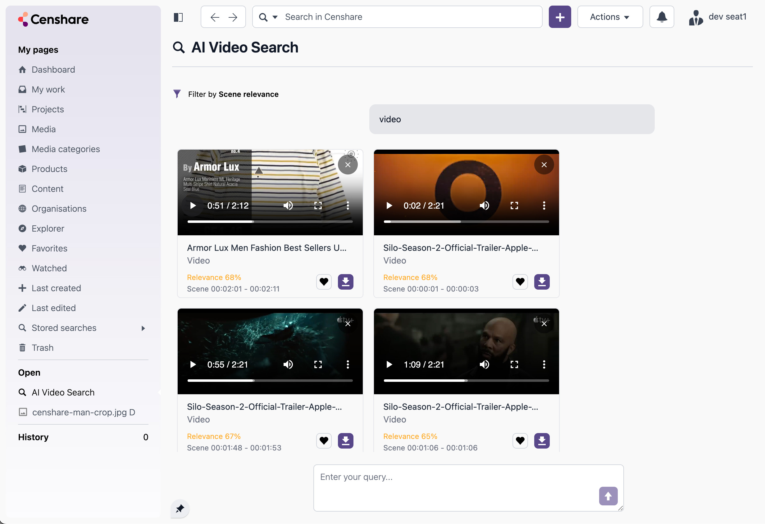 video-search-result.jpg